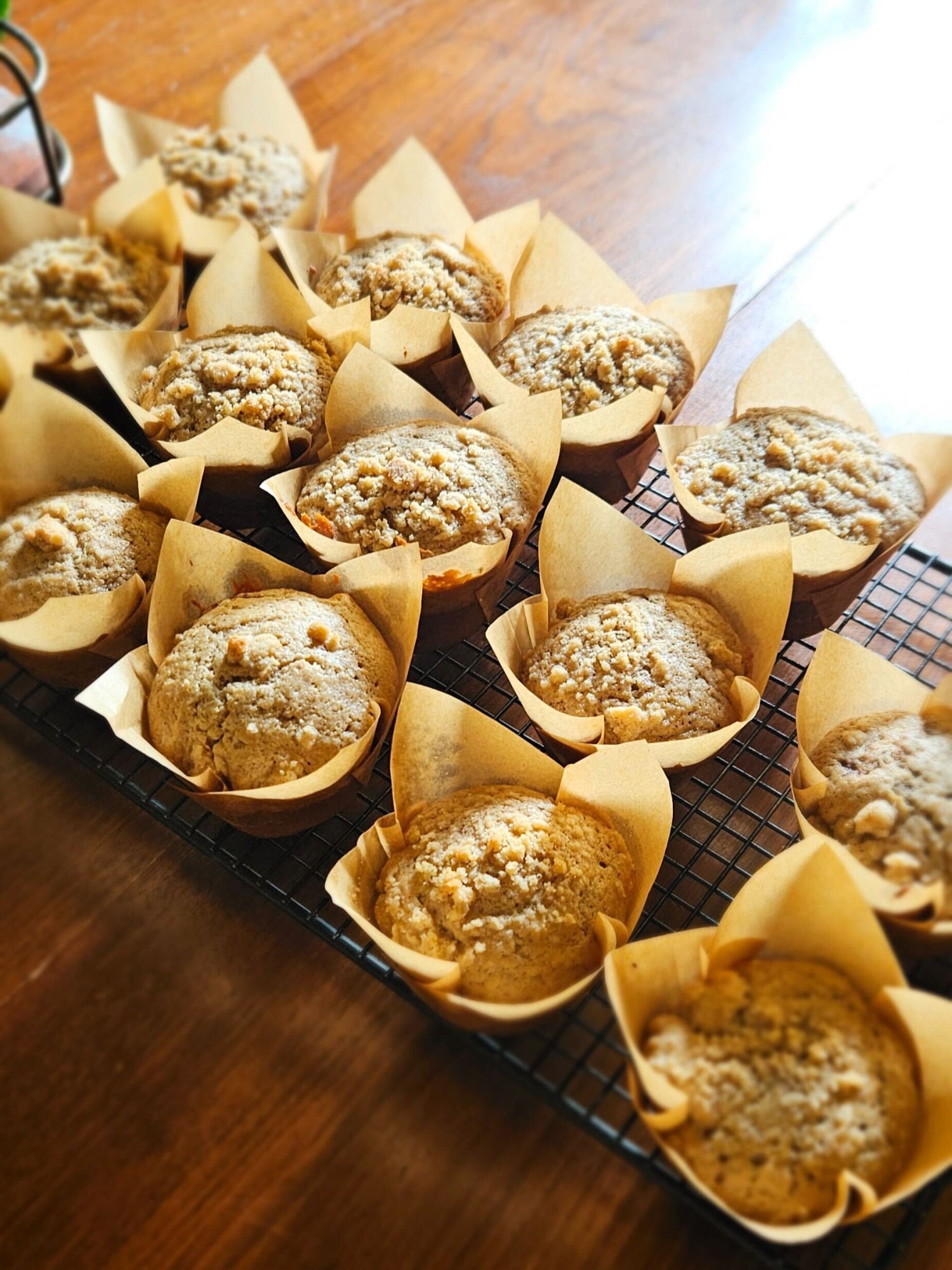 Sourdough Discard Creations