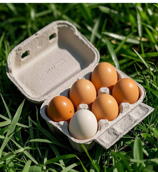 Farm Fresh Eggs (6-Pack) *Limit One Per Order*