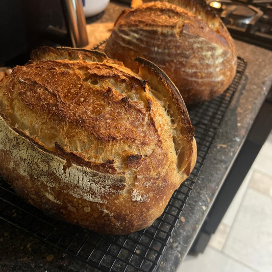Asiago White Sourdough Bread
